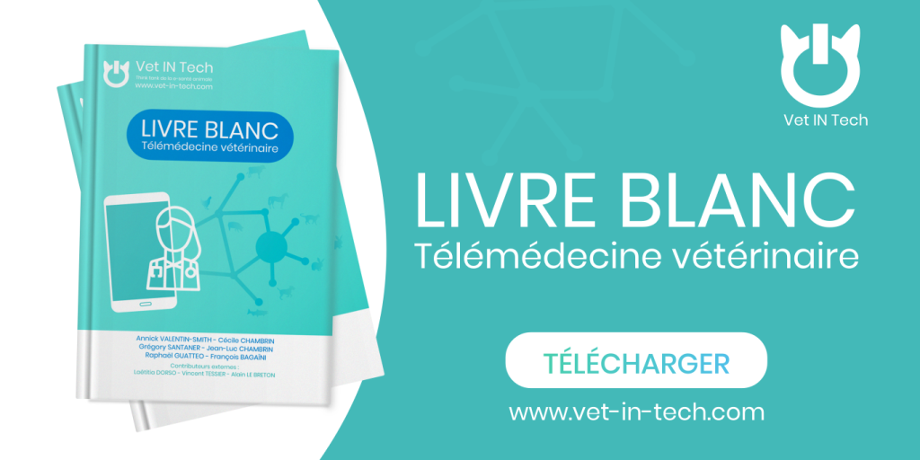 https://vet-in-tech.com
