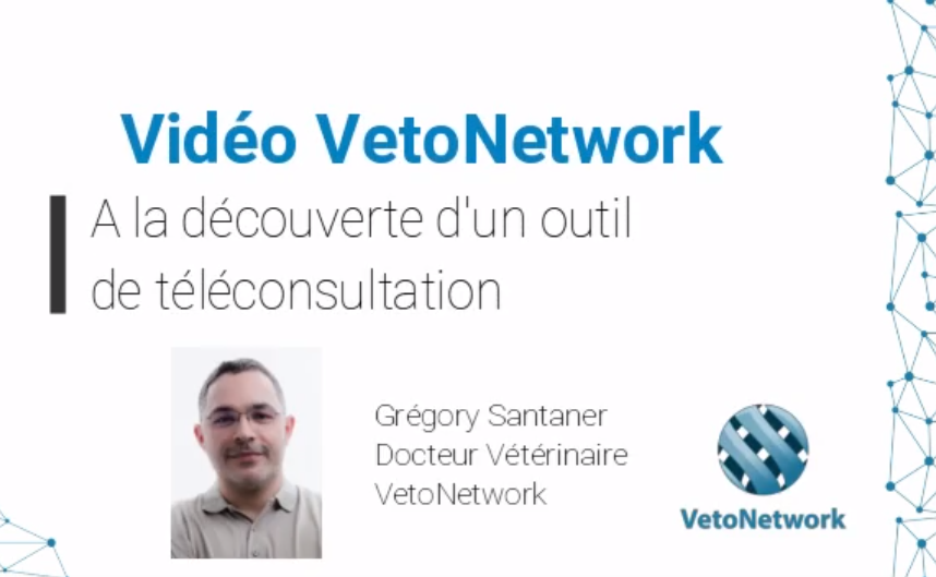 VideoTeleconsultation