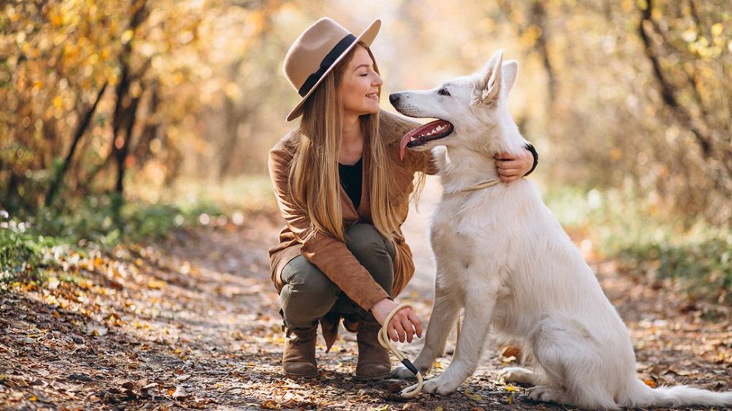 animaux-compagnie-chien