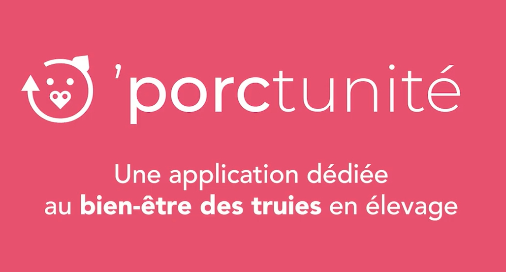 logo oporctunité