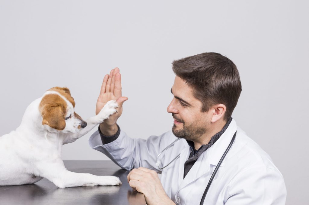 fidéliser clients vétérinaire