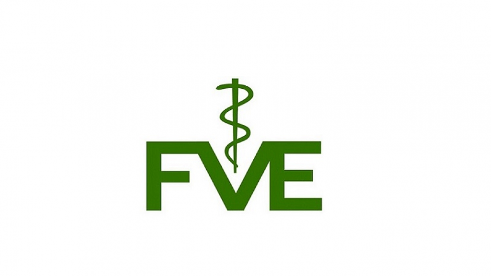 fve-logo