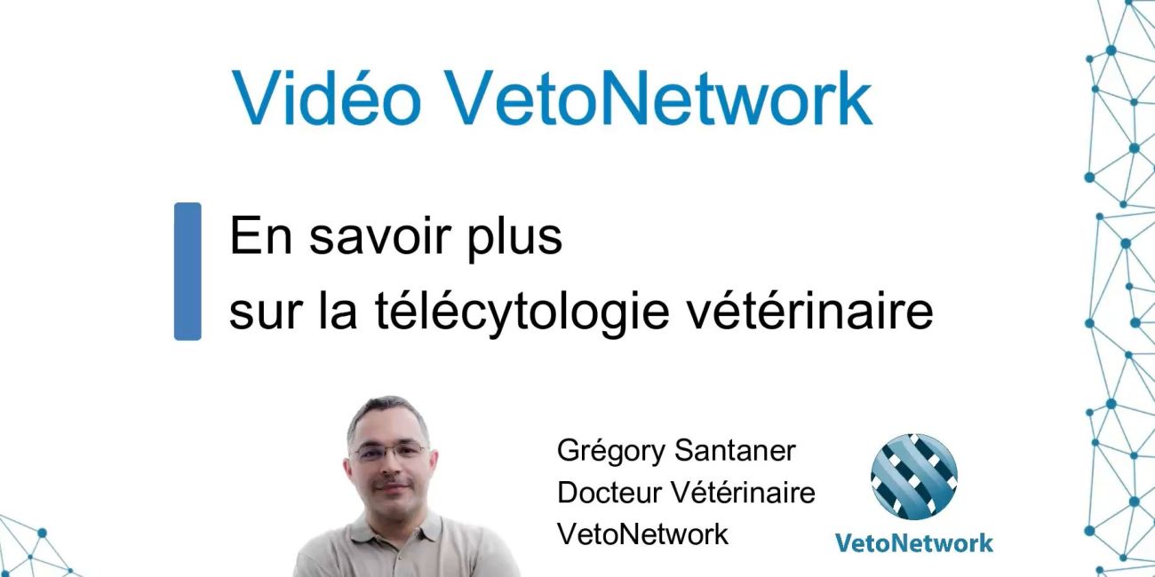 telecytologie_vetonetwork