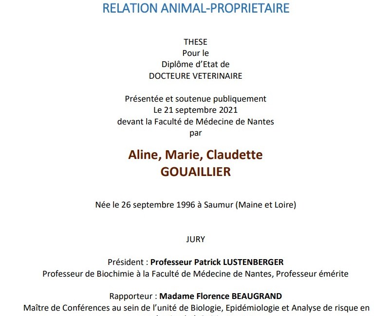 these_segmentation_client_veterinaire