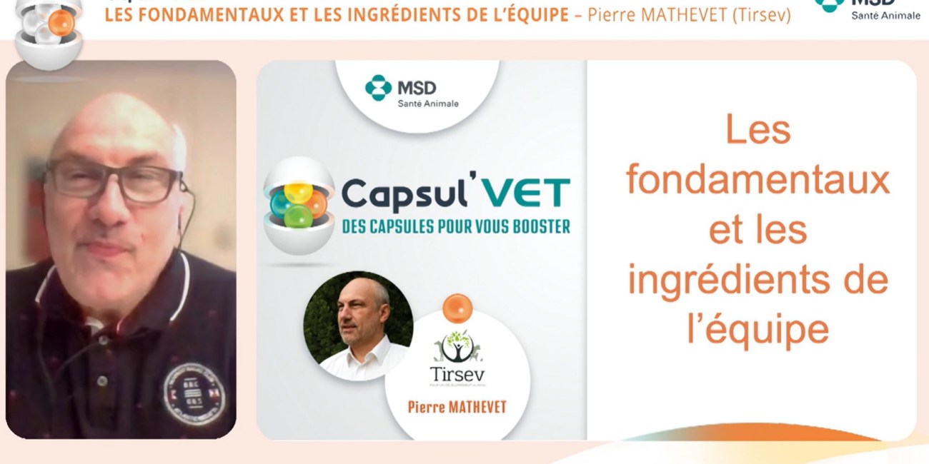 capsul'VET_fondamentaux_ingredients_equipe
