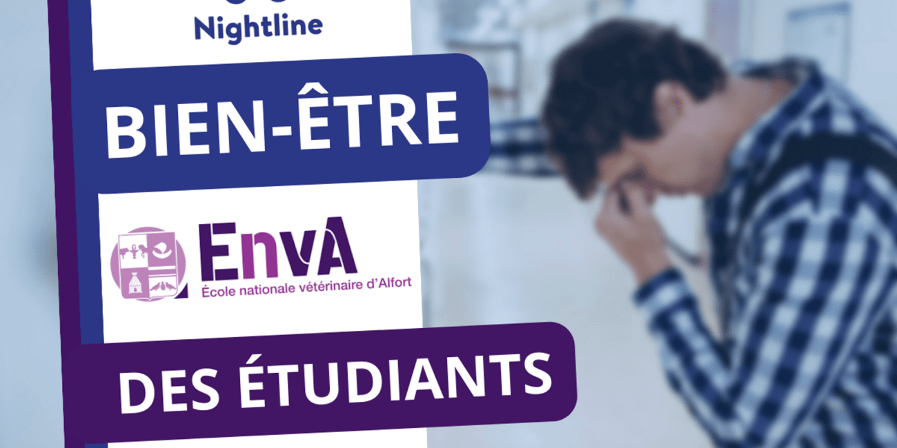 Nightline bien-être étudiants